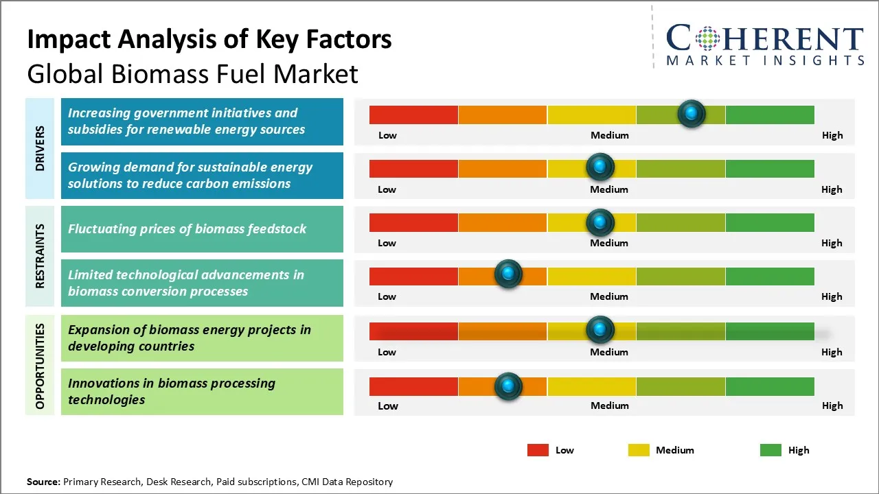 Biomass Fuel Market Regional Insights